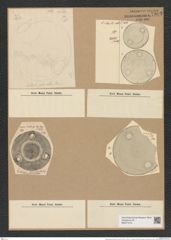 Pseudauliscus pulvinatus Cleve (de-Toni-Nr.: Genus 172, Species 4425) Zeichnungen Sammlung Grunow Nr. 7983 (NHMW-BOT-W0377276)